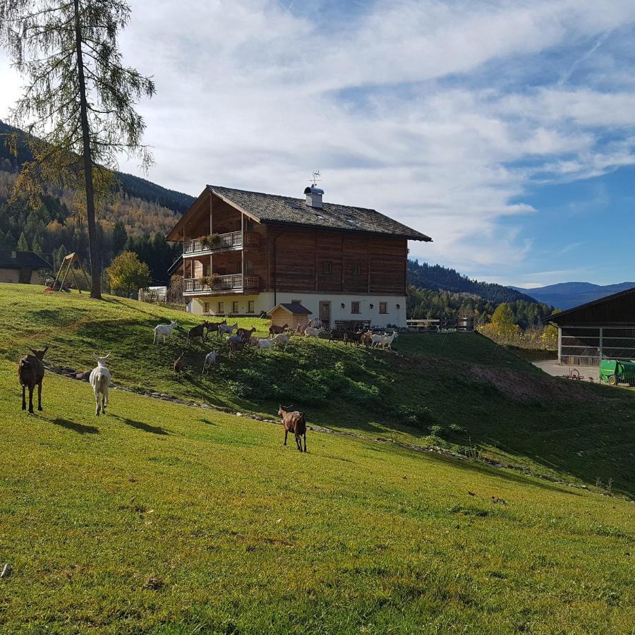 Villa Agritur Maso Piasina Teser im Fleimtal Exterior foto