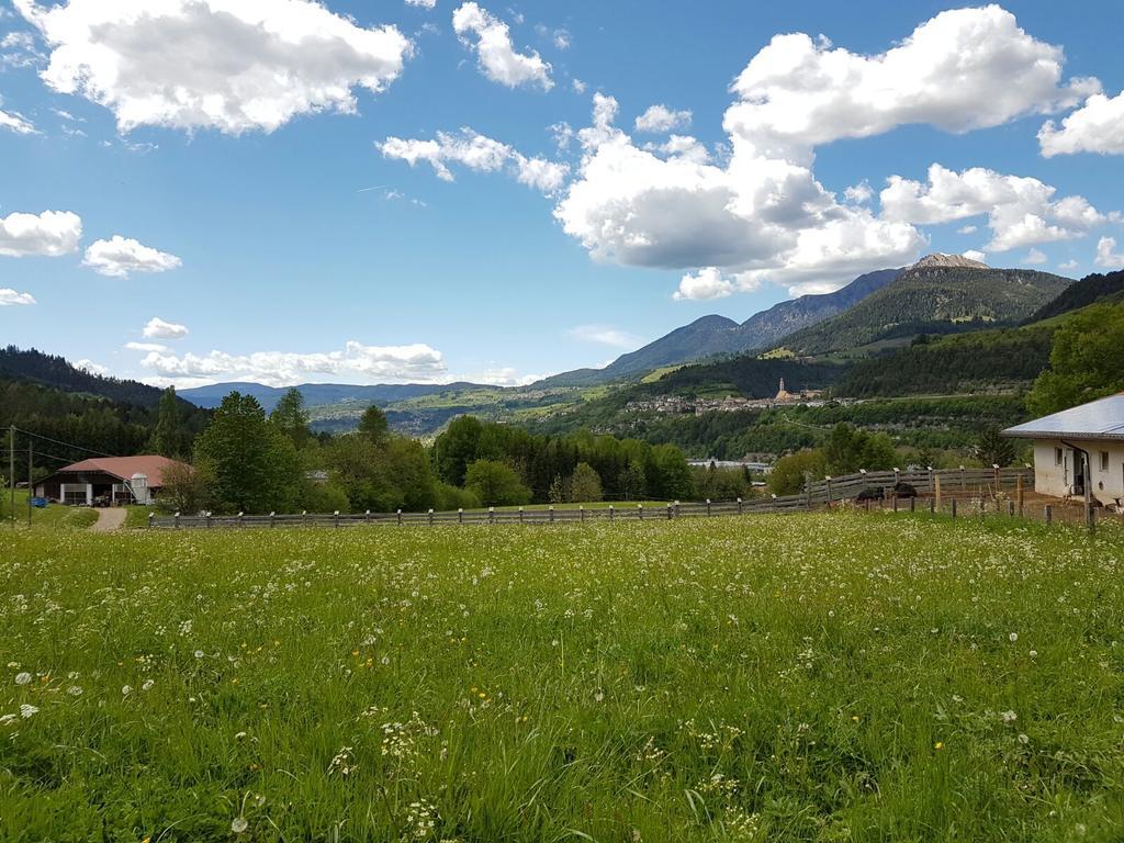 Villa Agritur Maso Piasina Teser im Fleimtal Exterior foto