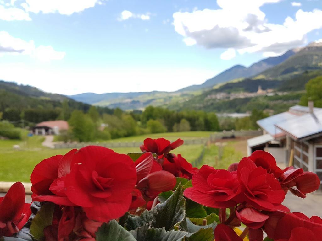 Villa Agritur Maso Piasina Teser im Fleimtal Exterior foto